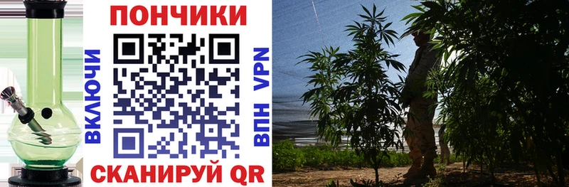 Купить закладки  Сорск  Бошки Шишки марихуана 